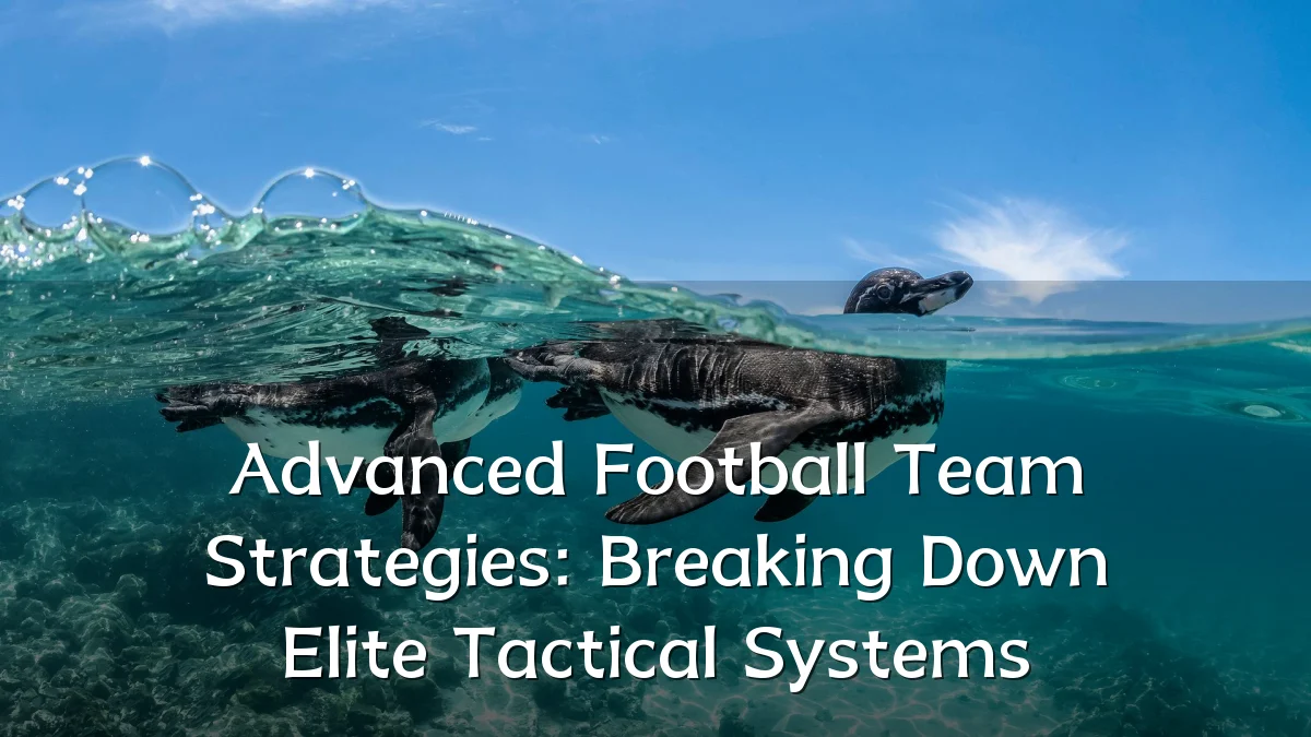Advanced Football Team Strategies: Breaking Down Elite Tactical Systems