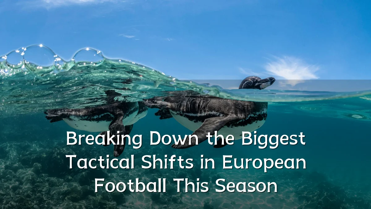 Breaking Down the Biggest Tactical Shifts in European Football This Season