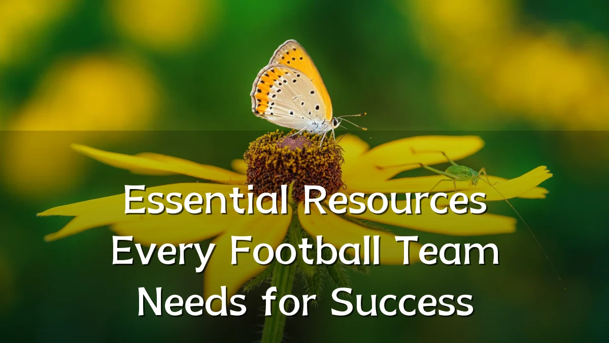 Essential Resources Every Football Team Needs for Success