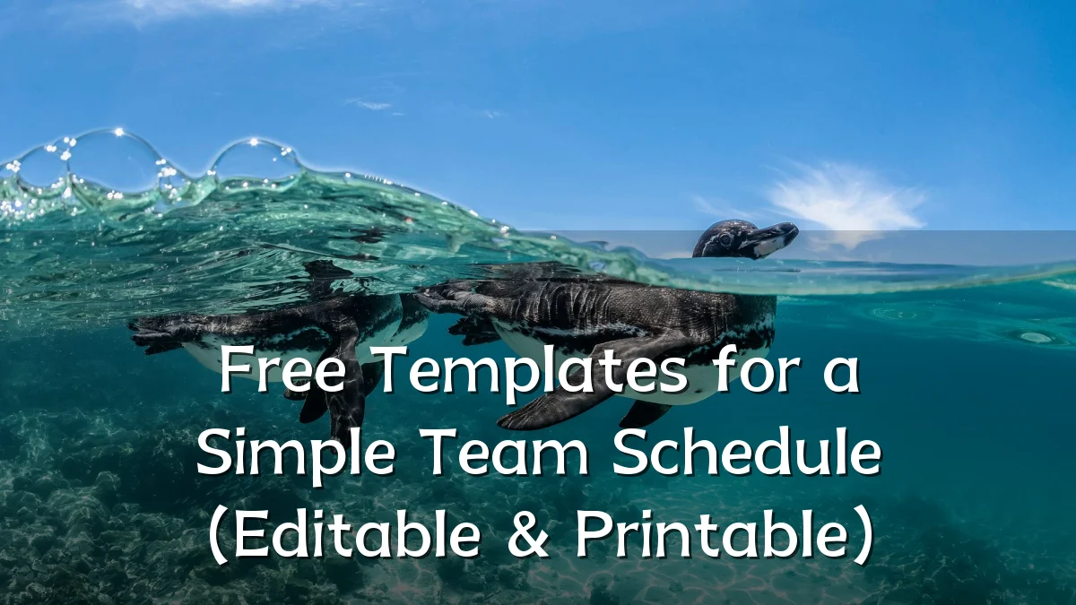 Free Templates for a Simple Team Schedule (Editable & Printable)