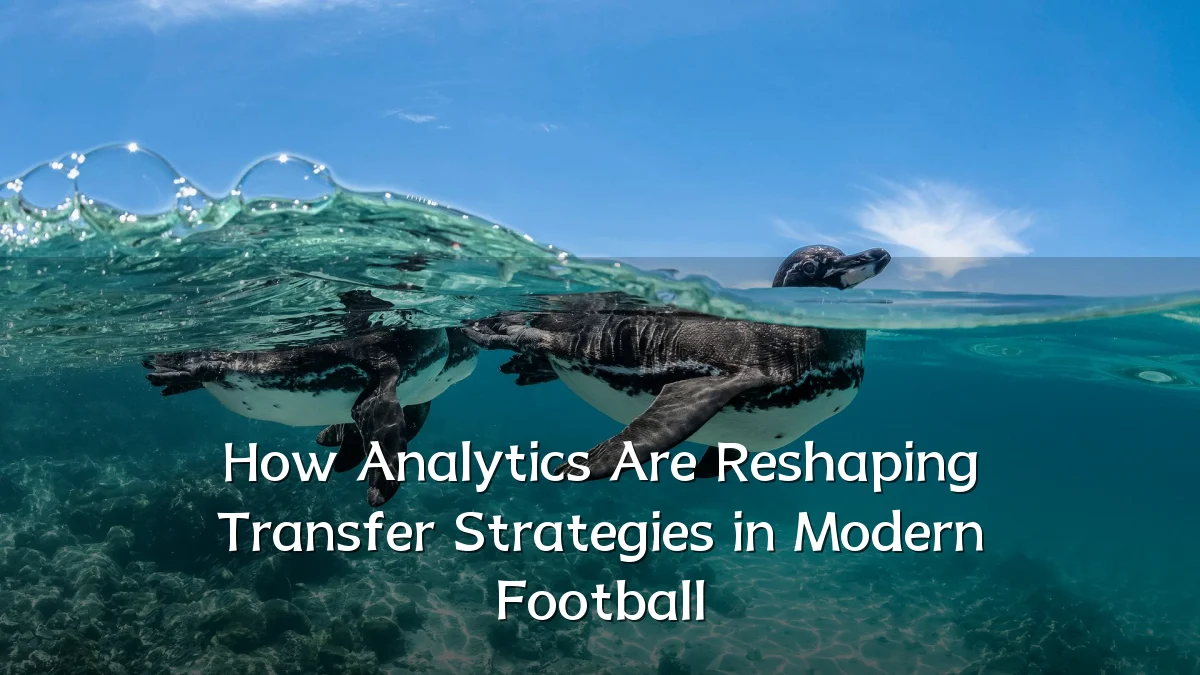 How Analytics Are Reshaping Transfer Strategies in Modern Football