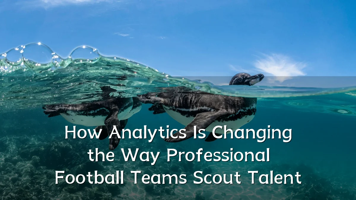 How Analytics Is Changing the Way Professional Football Teams Scout Talent