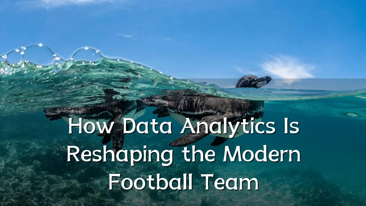 How Data Analytics Is Reshaping the Modern Football Team