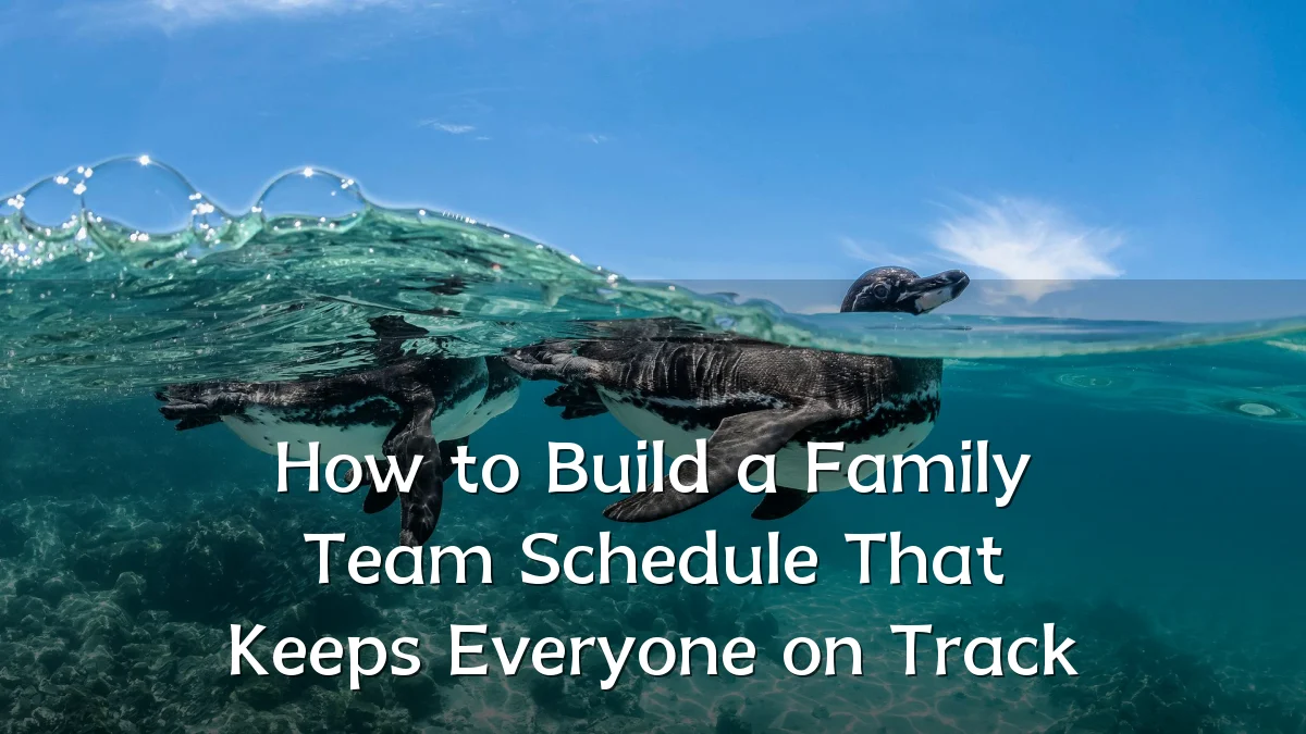 How to Build a Family Team Schedule That Keeps Everyone on Track