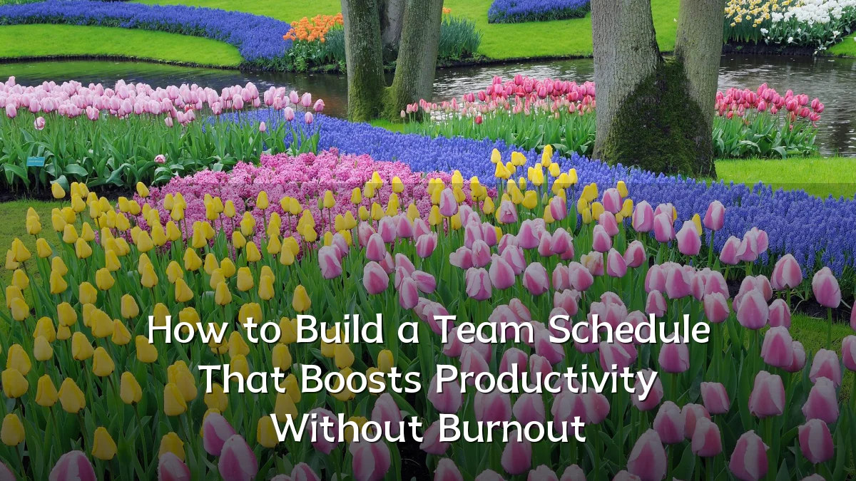 How to Build a Team Schedule That Boosts Productivity Without Burnout