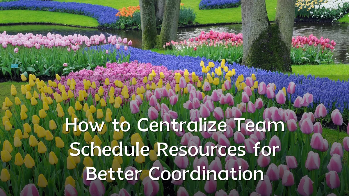 How to Centralize Team Schedule Resources for Better Coordination