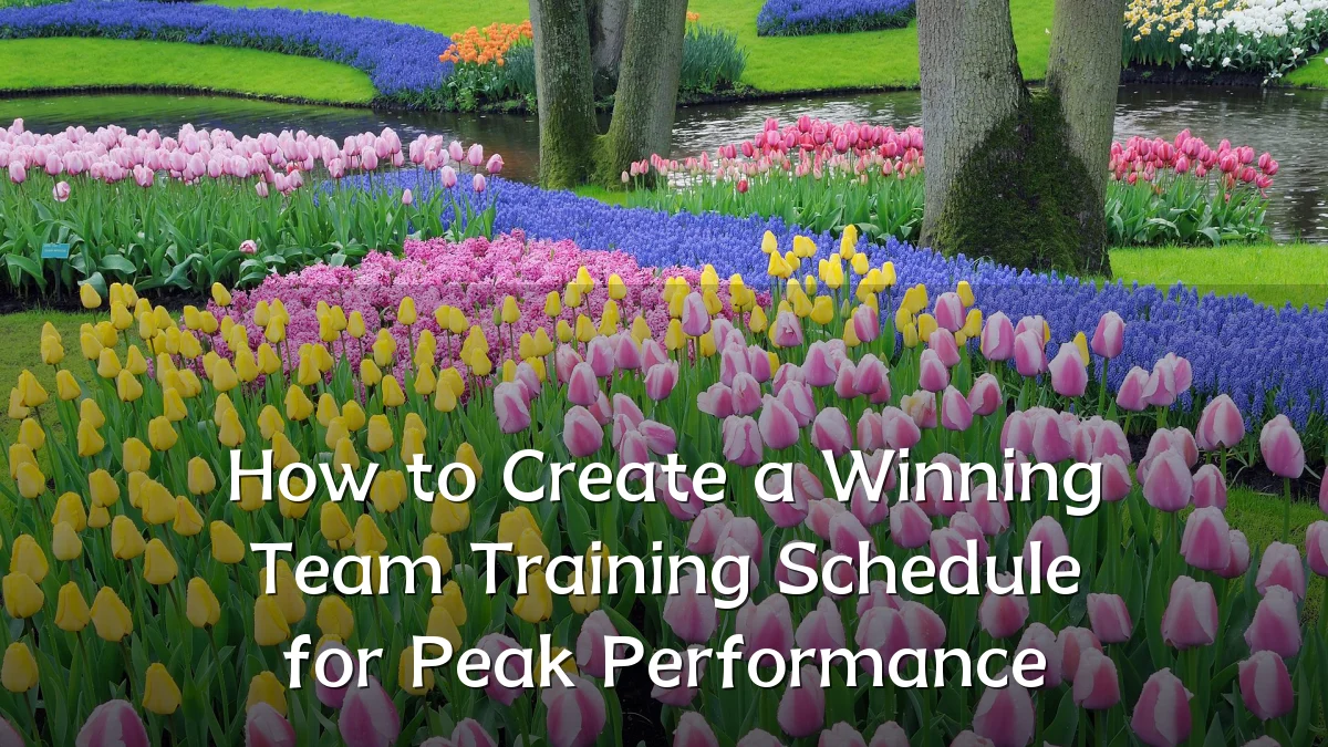 How to Create a Winning Team Training Schedule for Peak Performance