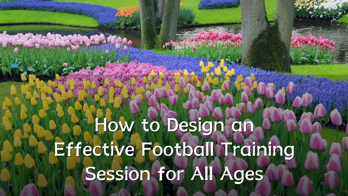 How to Design an Effective Football Training Session for All Ages