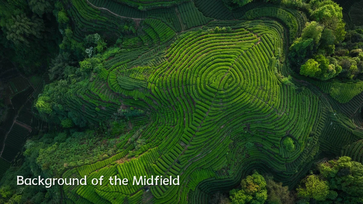 Background of the Midfield
