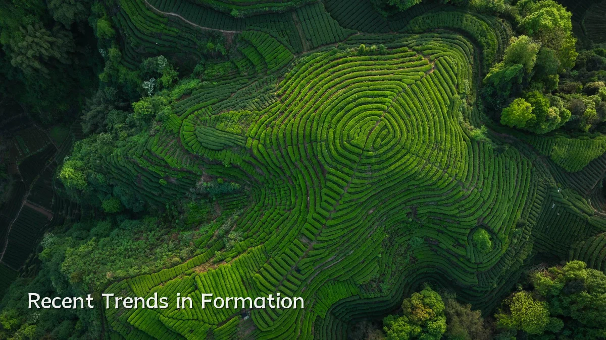 Recent Trends in Formation