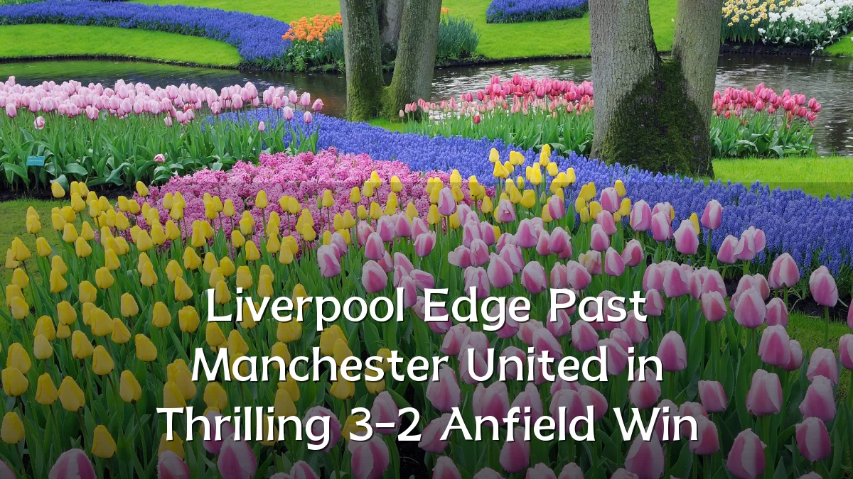 Liverpool Edge Past Manchester United in Thrilling 3-2 Anfield Win