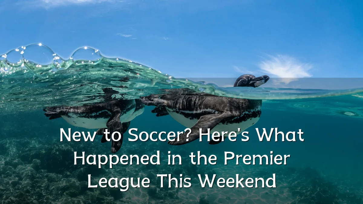 New to Soccer? Here's What Happened in the Premier League This Weekend