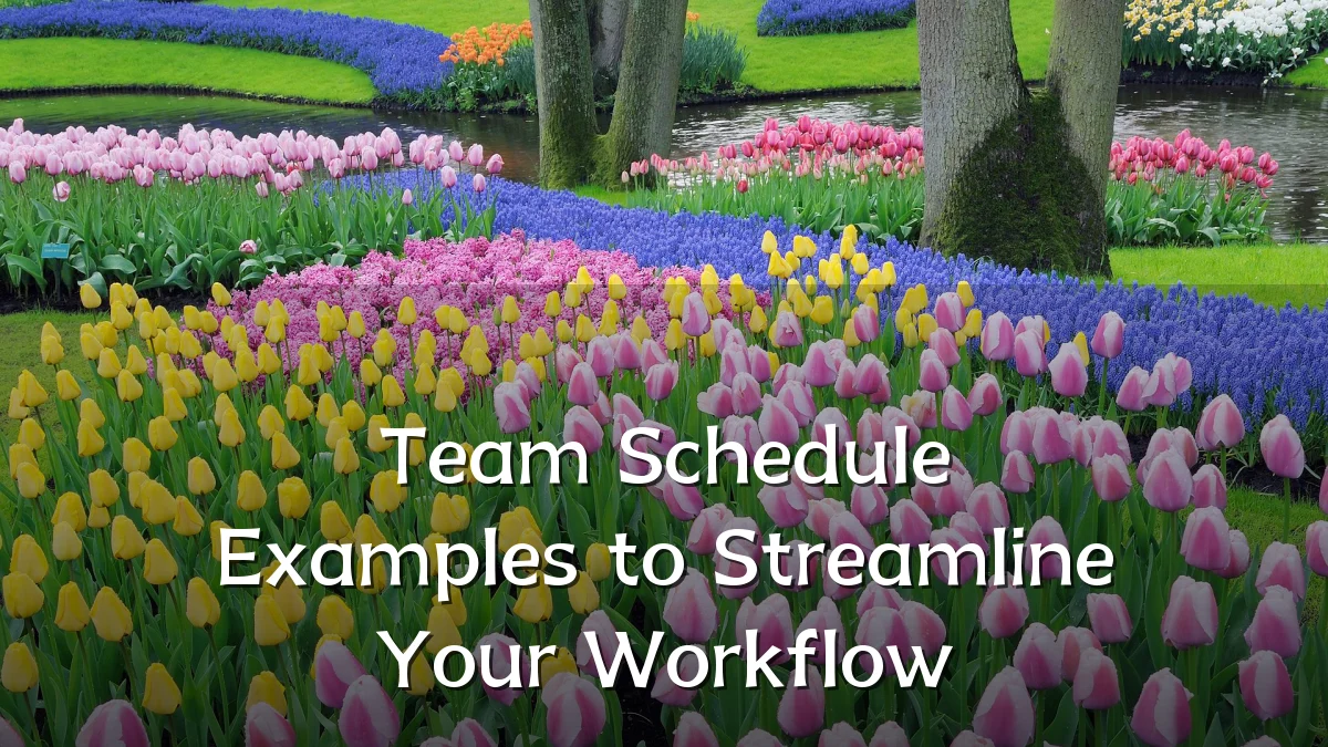 Team Schedule Examples to Streamline Your Workflow