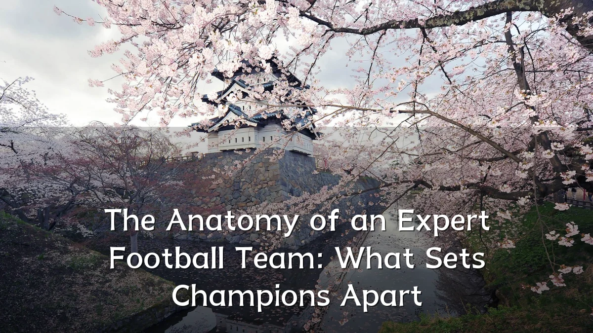 The Anatomy of an Expert Football Team: What Sets Champions Apart