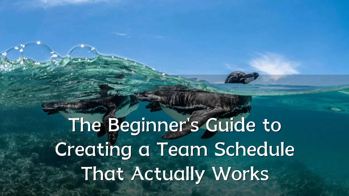 The Beginner's Guide to Creating a Team Schedule That Actually Works