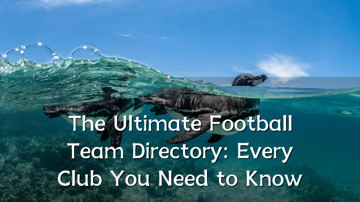 The Ultimate Football Team Directory: Every Club You Need to Know