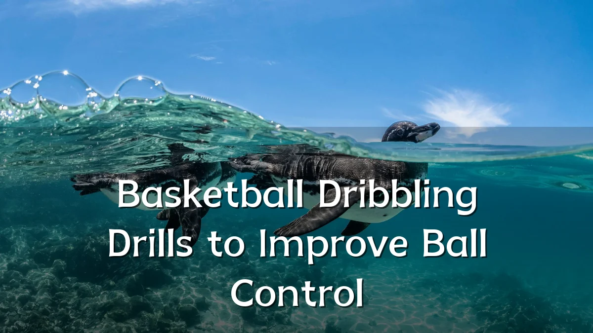 Basketball Dribbling Drills to Improve Ball Control