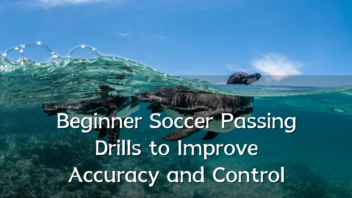Beginner Soccer Passing Drills to Improve Accuracy and Control