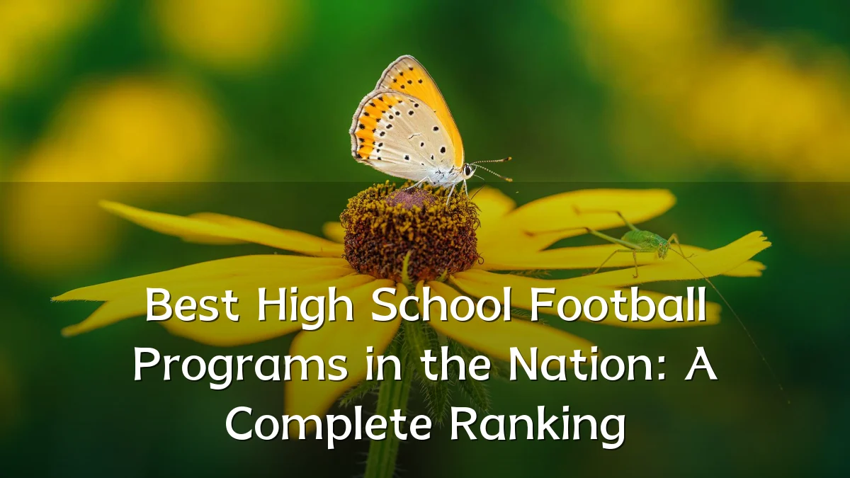 Best High School Football Programs in the Nation: A Complete Ranking