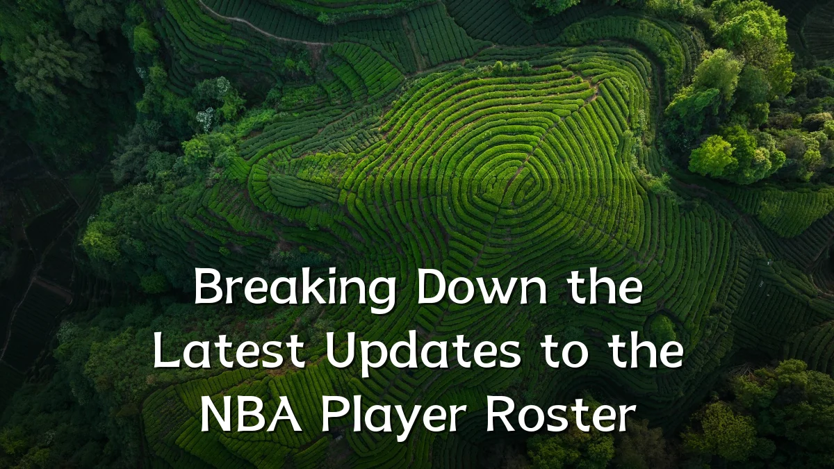 Breaking Down the Latest Updates to the NBA Player Roster