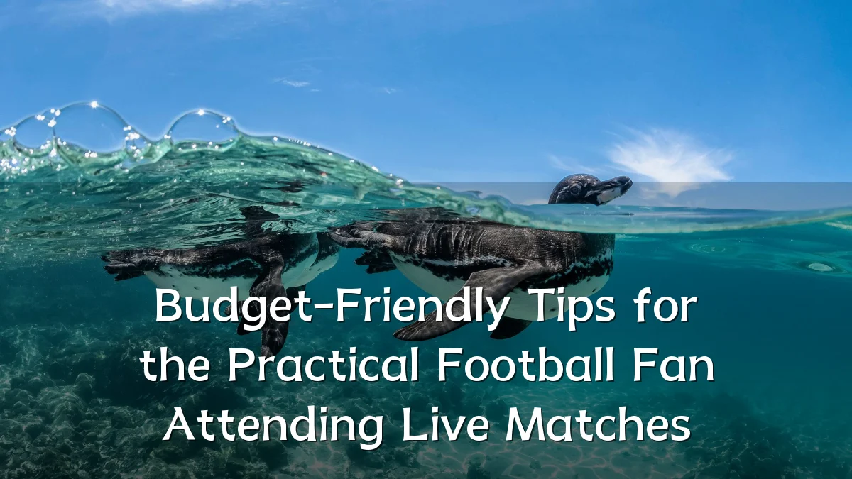 Budget-Friendly Tips for the Practical Football Fan Attending Live Matches