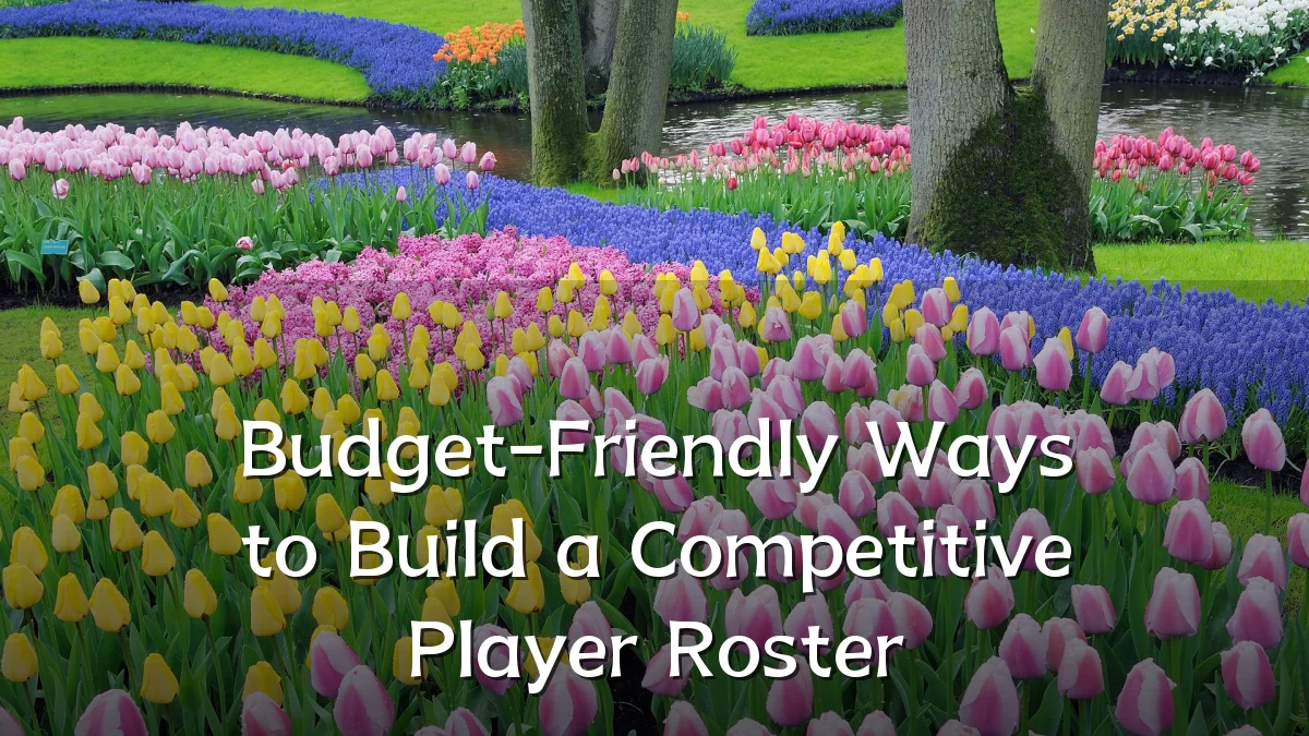 Budget-Friendly Ways to Build a Competitive Player Roster