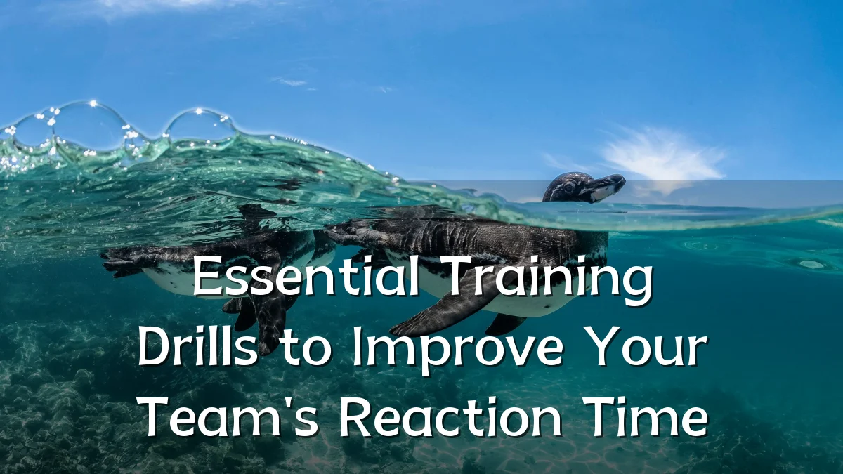 Essential Training Drills to Improve Your Team's Reaction Time