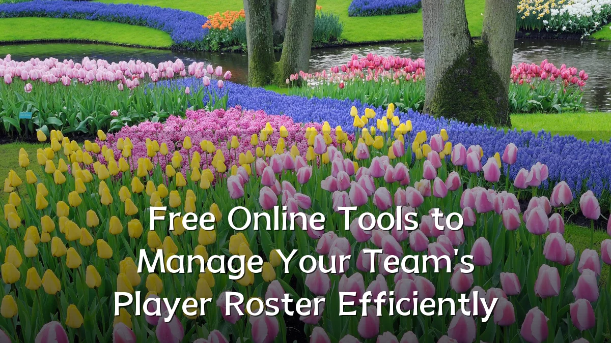 Free Online Tools to Manage Your Team's Player Roster Efficiently