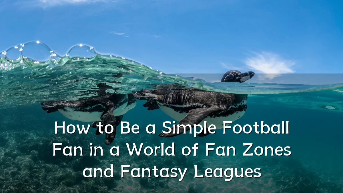 How to Be a Simple Football Fan in a World of Fan Zones and Fantasy Leagues