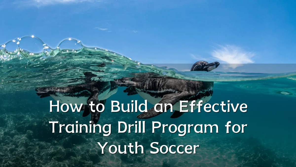 How to Build an Effective Training Drill Program for Youth Soccer