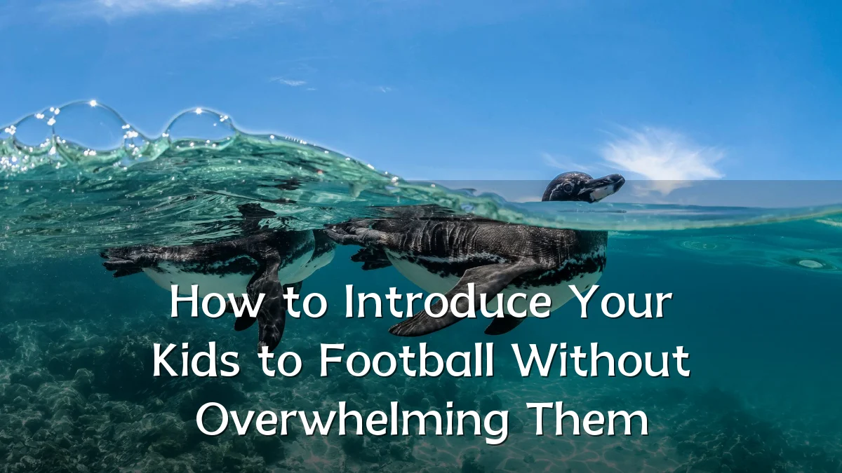 How to Introduce Your Kids to Football Without Overwhelming Them