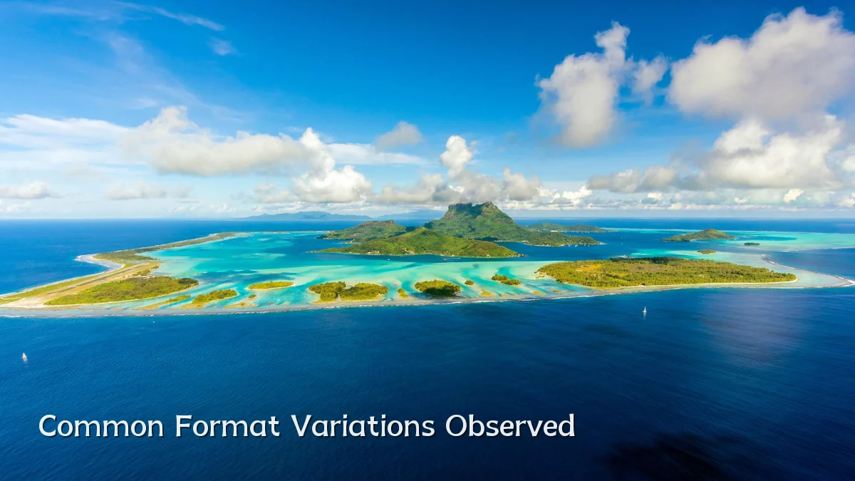 Common Format Variations Observed