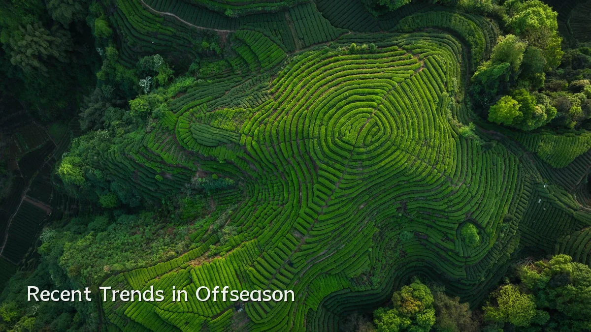Recent Trends in Offseason