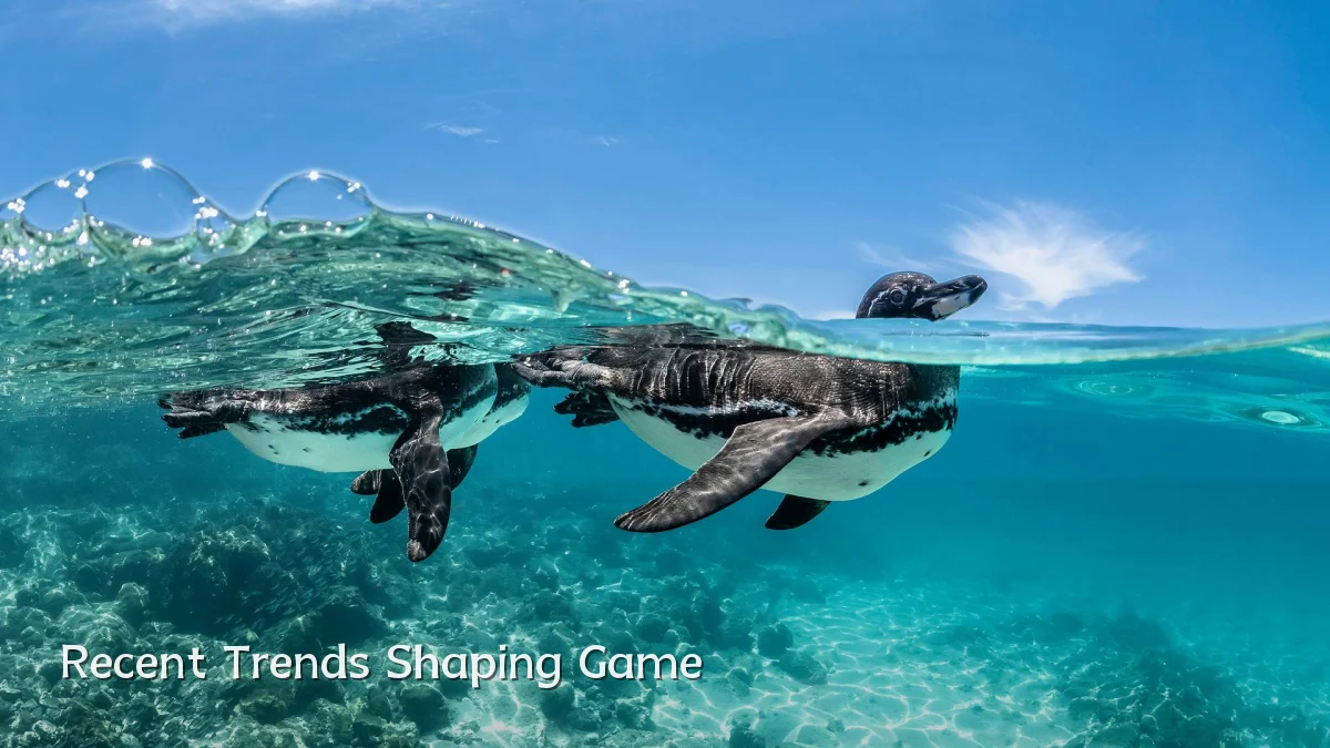 Recent Trends Shaping Game