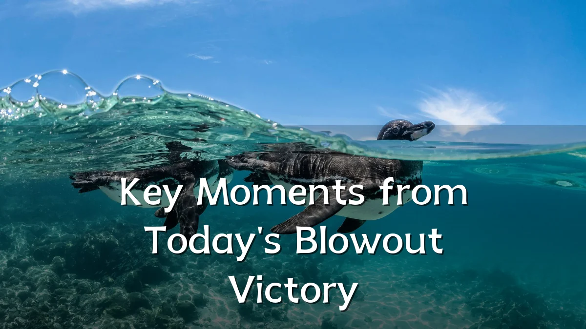 Key Moments from Today's Blowout Victory