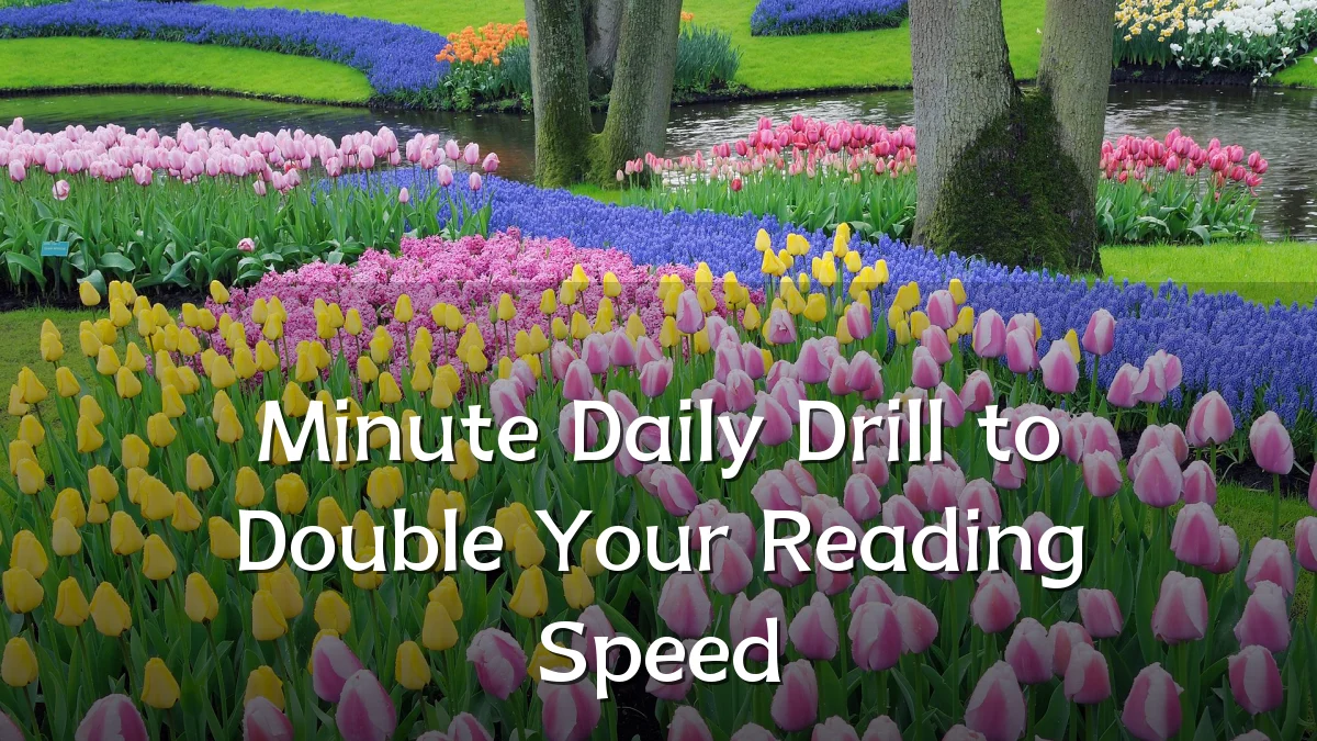Minute Daily Drill to Double Your Reading Speed