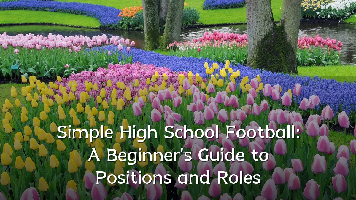 Simple High School Football: A Beginner's Guide to Positions and Roles