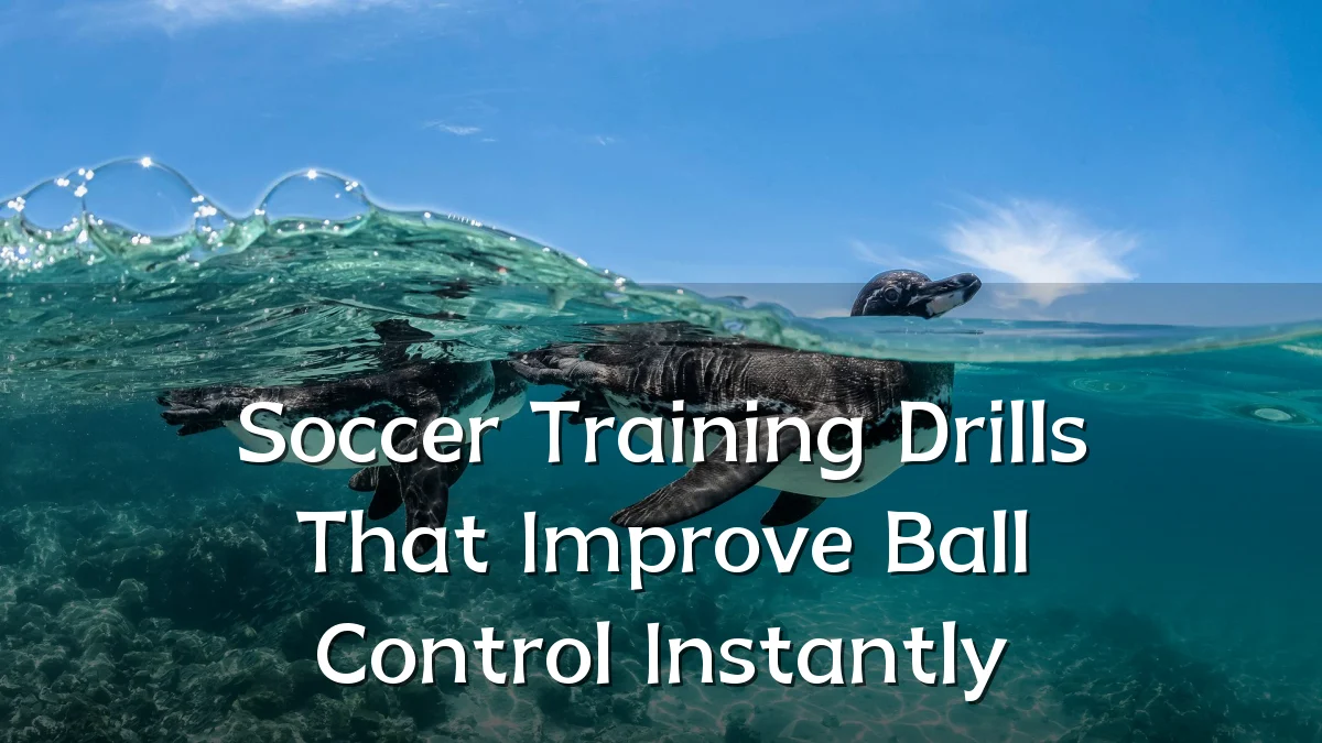 Soccer Training Drills That Improve Ball Control Instantly