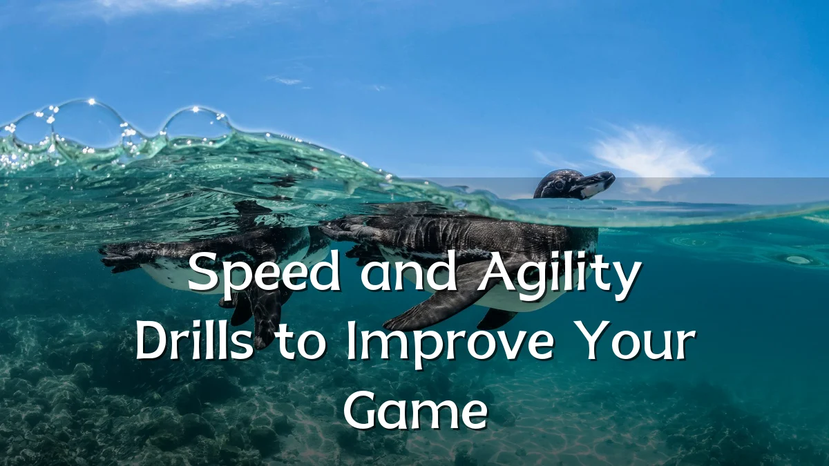 Speed and Agility Drills to Improve Your Game