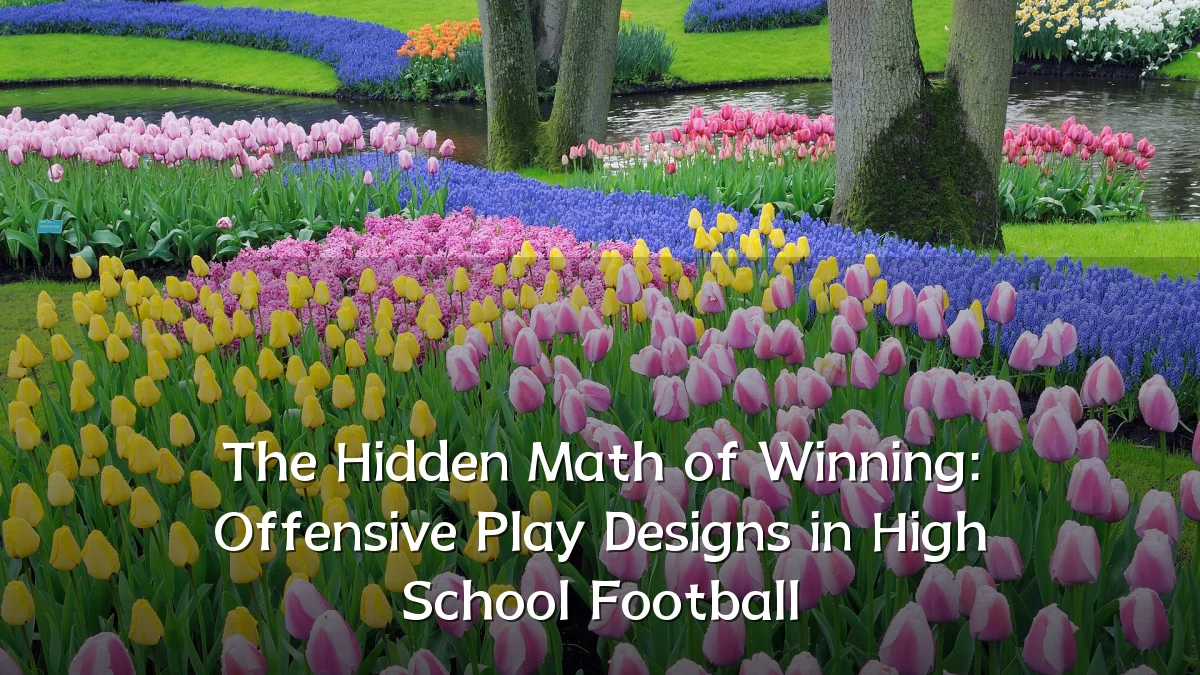 The Hidden Math of Winning: Offensive Play Designs in High School Football