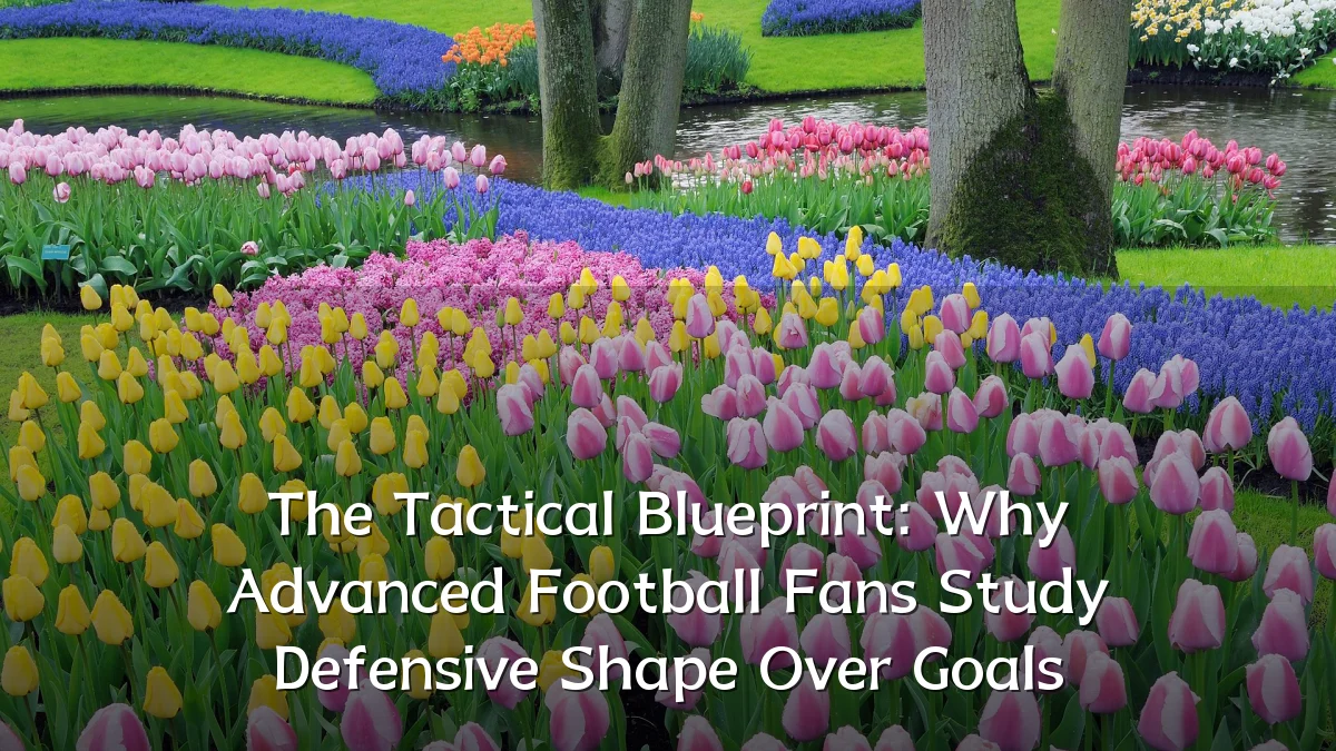 The Tactical Blueprint: Why Advanced Football Fans Study Defensive Shape Over Goals