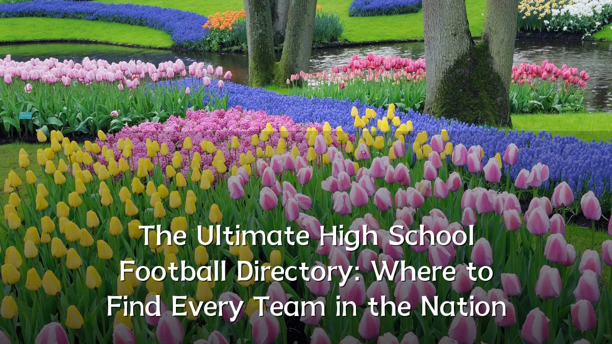 The Ultimate High School Football Directory: Where to Find Every Team in the Nation