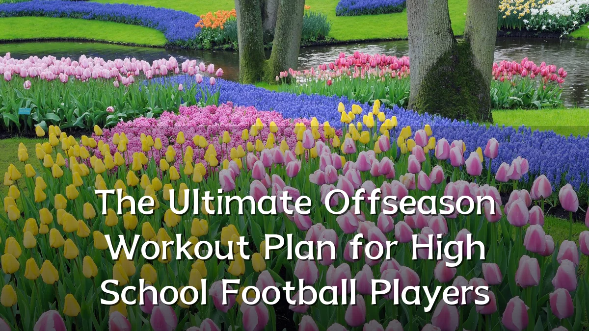 The Ultimate Offseason Workout Plan for High School Football Players