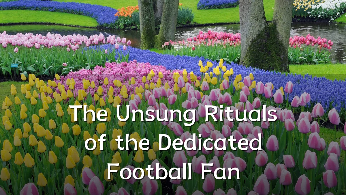 The Unsung Rituals of the Dedicated Football Fan